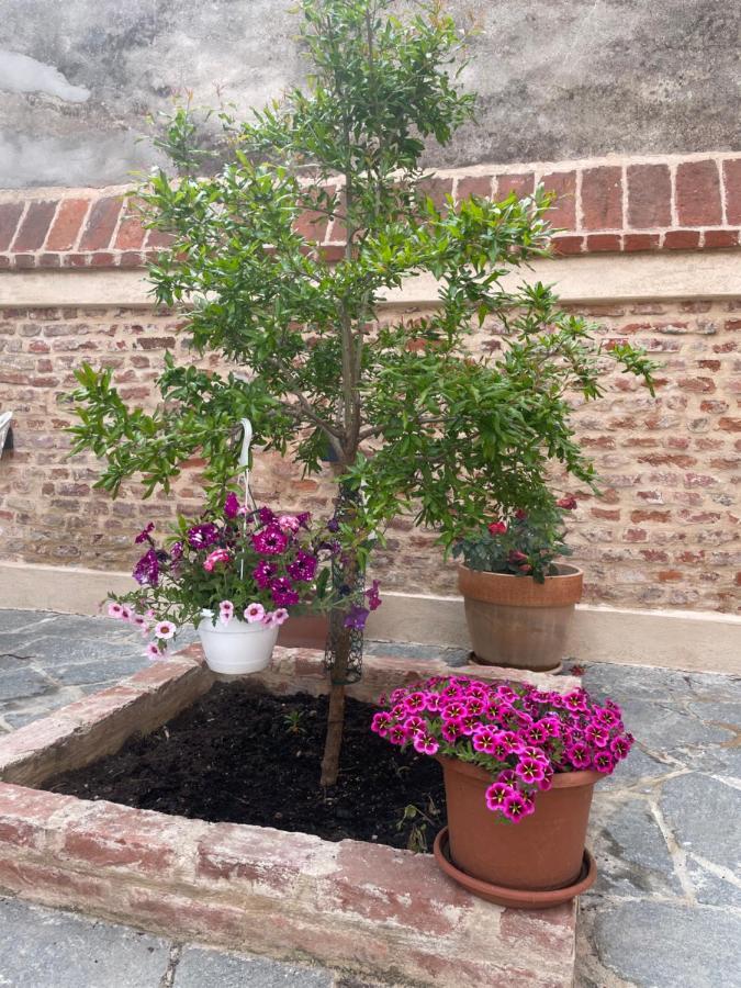 Residenza Nikol Appartamento Giulia Casale Monferrato Buitenkant foto