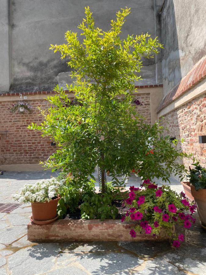 Residenza Nikol Appartamento Giulia Casale Monferrato Buitenkant foto